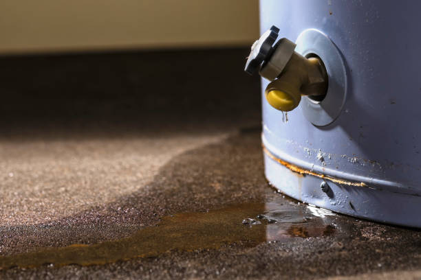 Best Professional water damage repair  in Thornville, OH