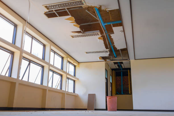 Best Fire Damage Restoration  in Thornville, OH