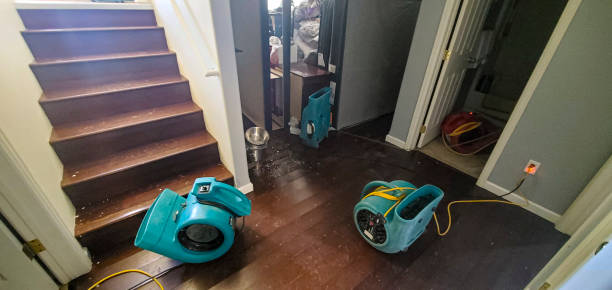 Best Water damage contractors near me  in Thornville, OH