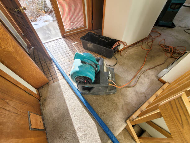 Best Water damage restoration near me  in Thornville, OH