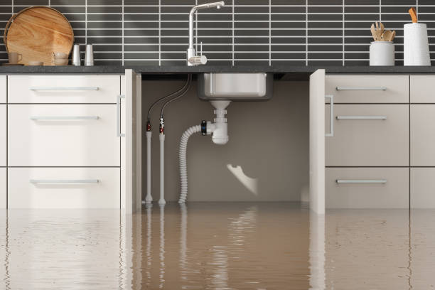  Thornville, OH Water damage restoration Pros