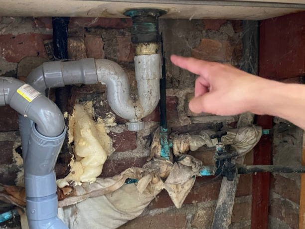 Best Carpet water damage restoration  in Thornville, OH